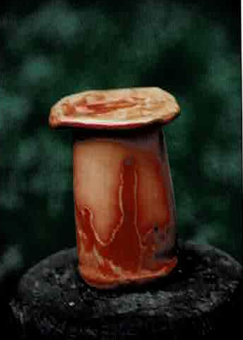 Image hover effect image